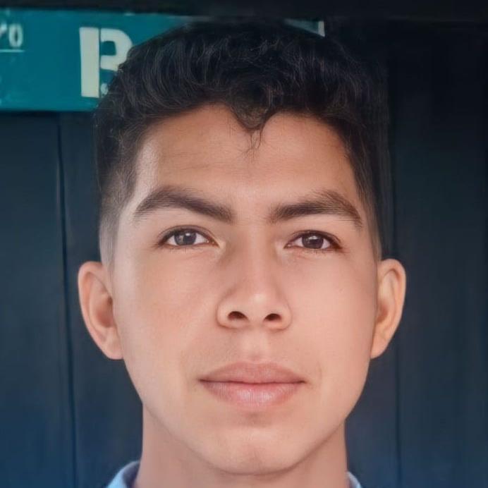 User Image