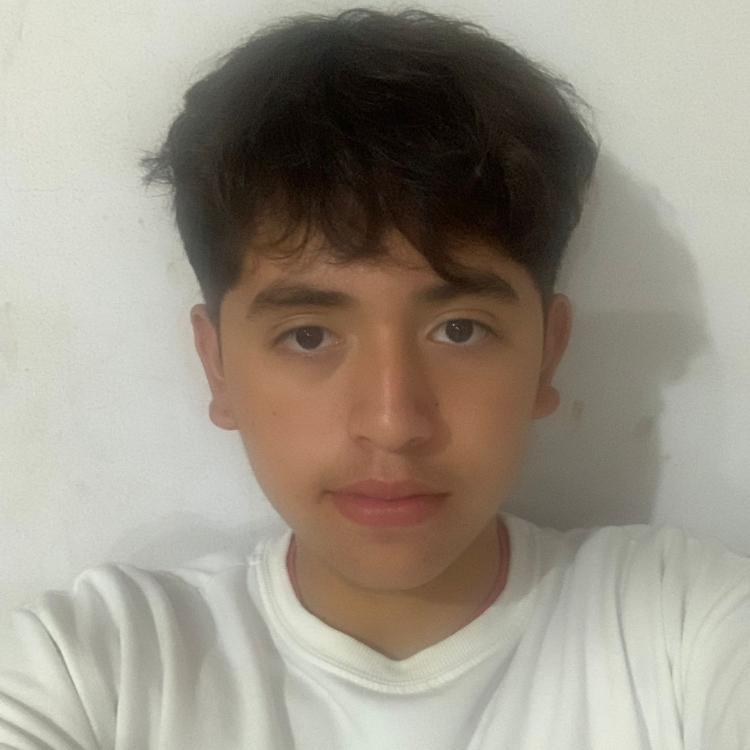 User Image