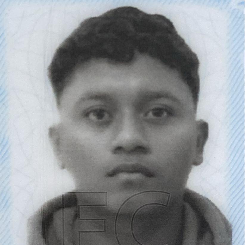 User Image