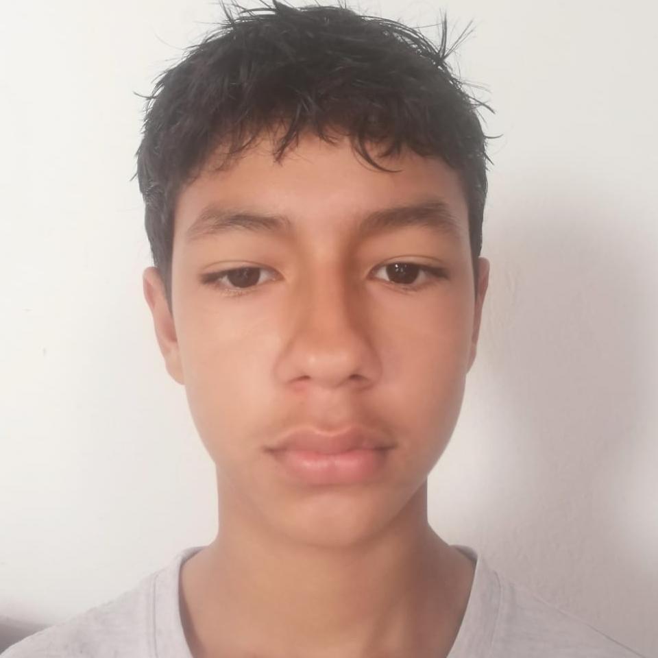 User Image